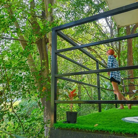 Shell House - Private Stay With Garden View In Arambol